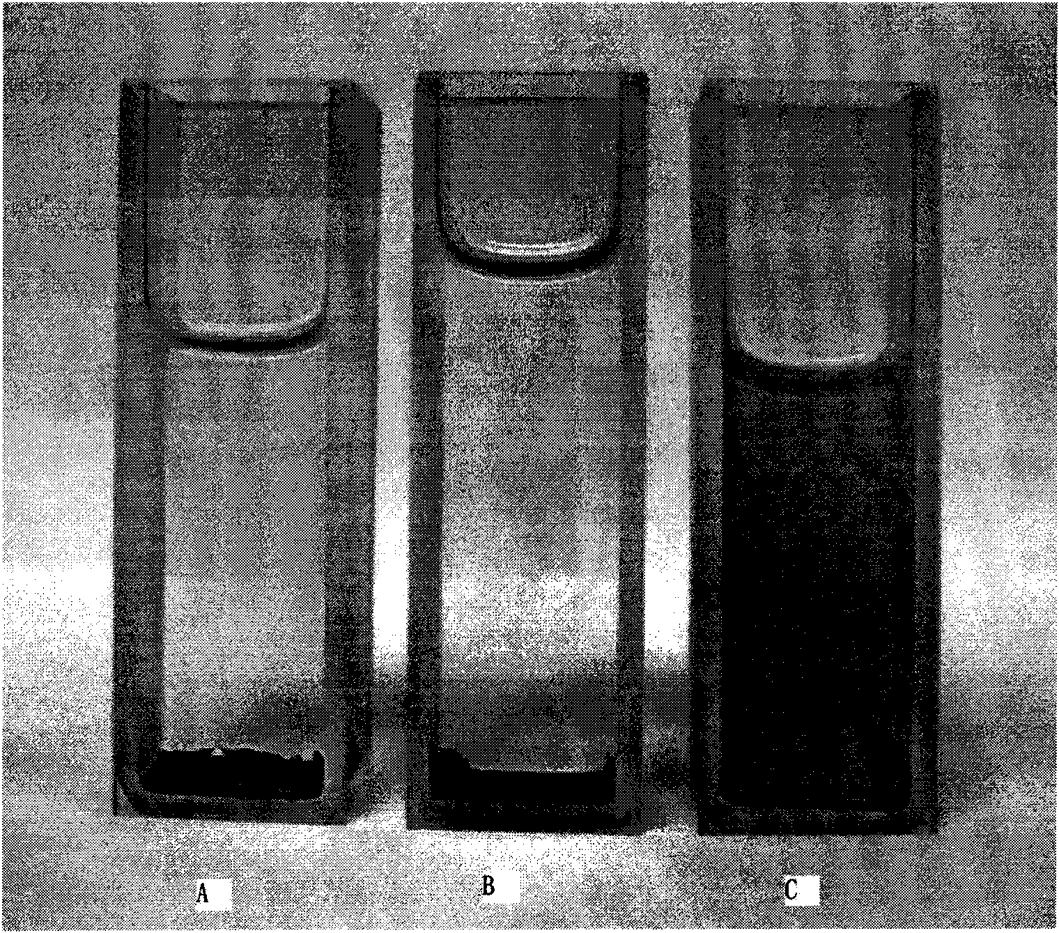 Surface-modified iron oxide magnetic nano-particle and surface modification method thereof