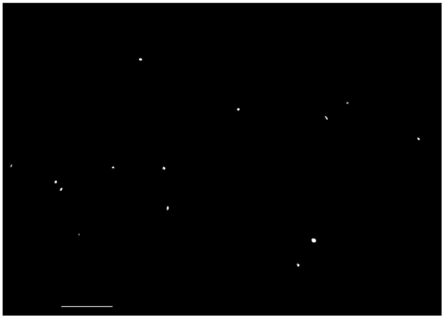 Method and system for acquiring autosomal STR gene locus typing result of single individual from mixed seminal stains