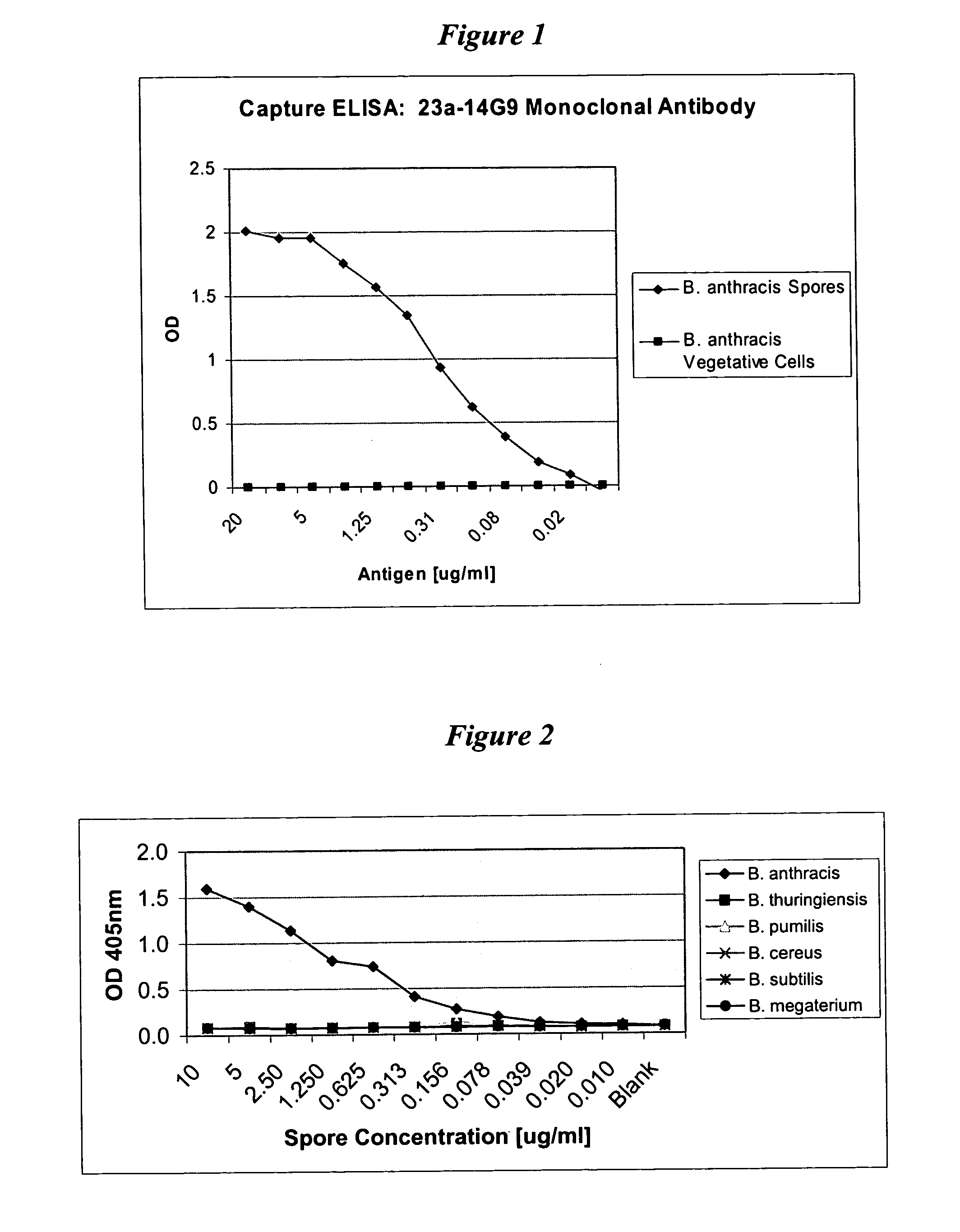 Spore specific antibodies