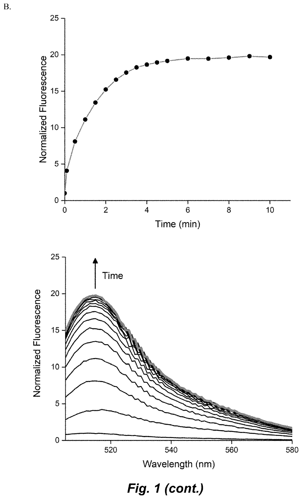 Selective fluorescent probe for aldehyde dehydrogenase