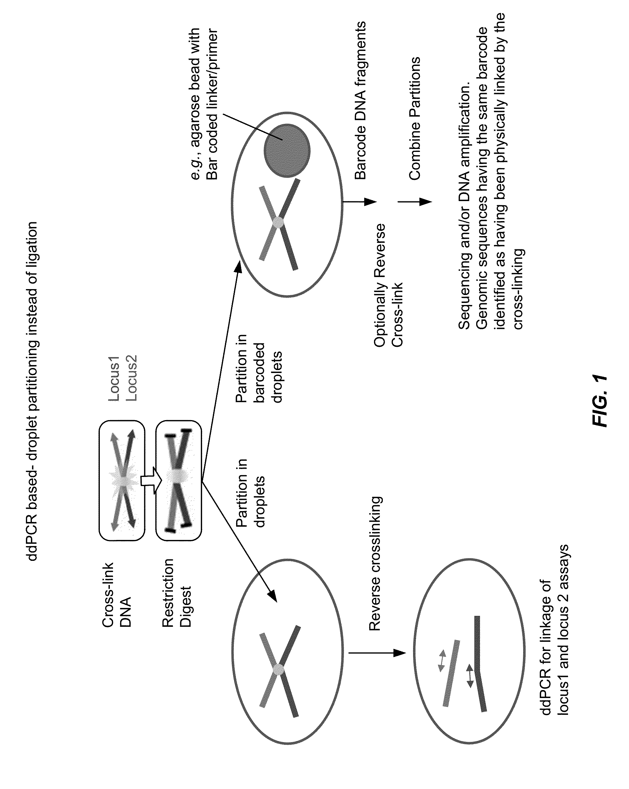 Chromosome conformation capture in partitions