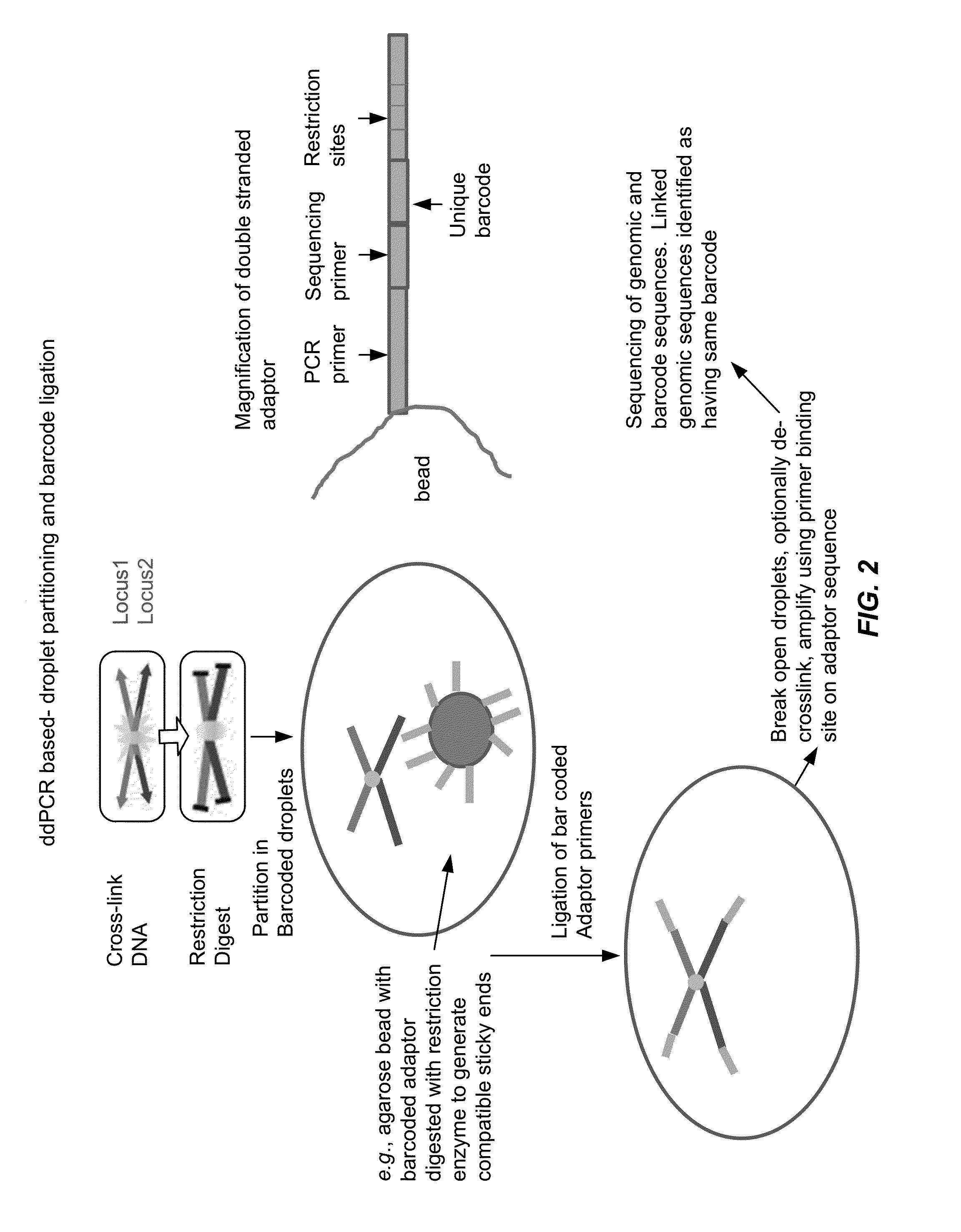 Chromosome conformation capture in partitions