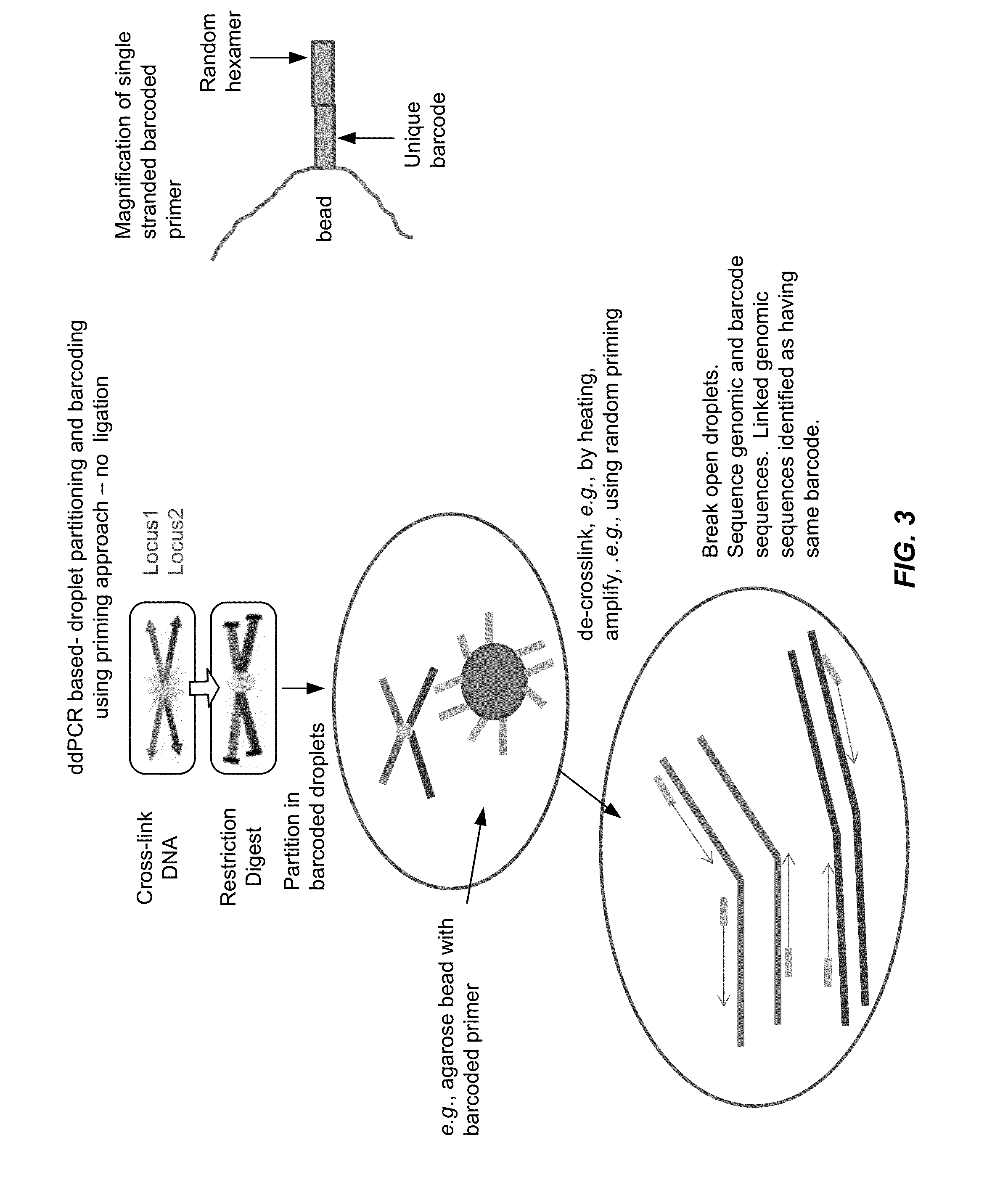 Chromosome conformation capture in partitions