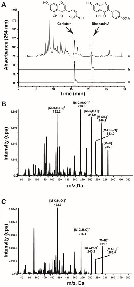 Application of Chickpea Extract in Controlling Crop Pathogenic Bacteria