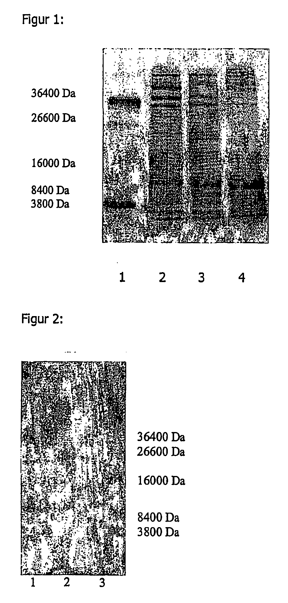 Cosmetic and/or pharmaceutical preparations