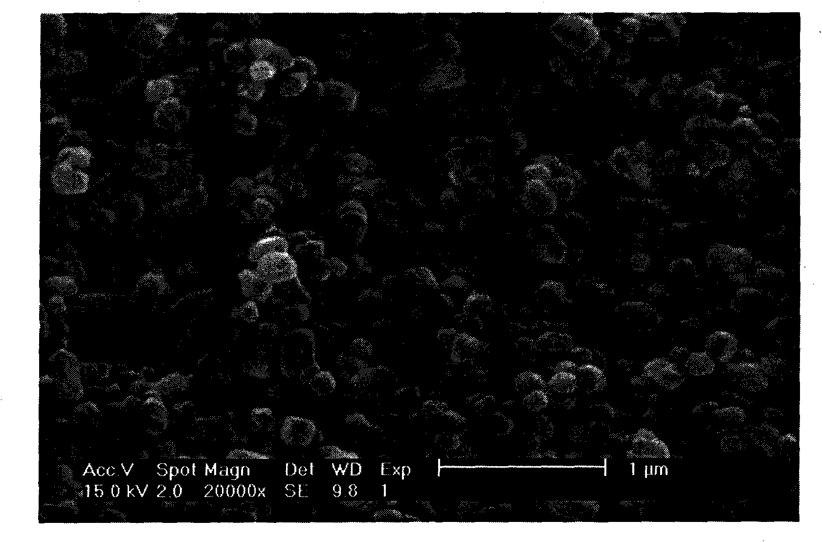 Method for preparing calcium carbonate powder