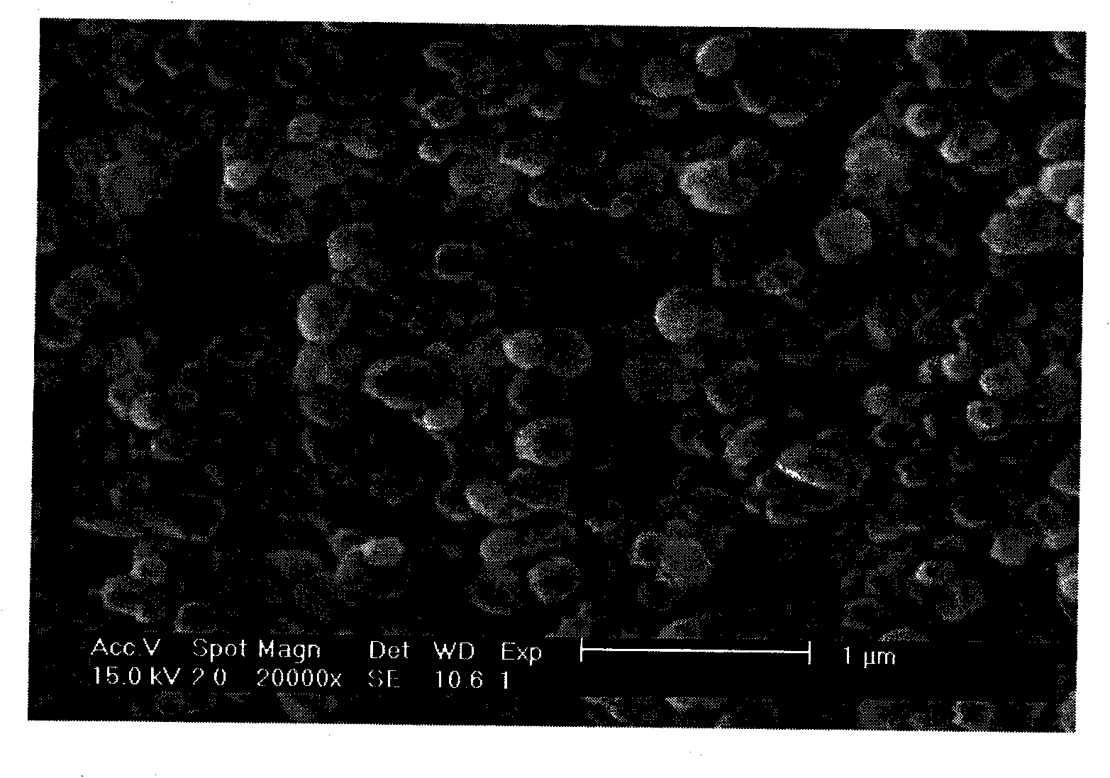 Method for preparing calcium carbonate powder