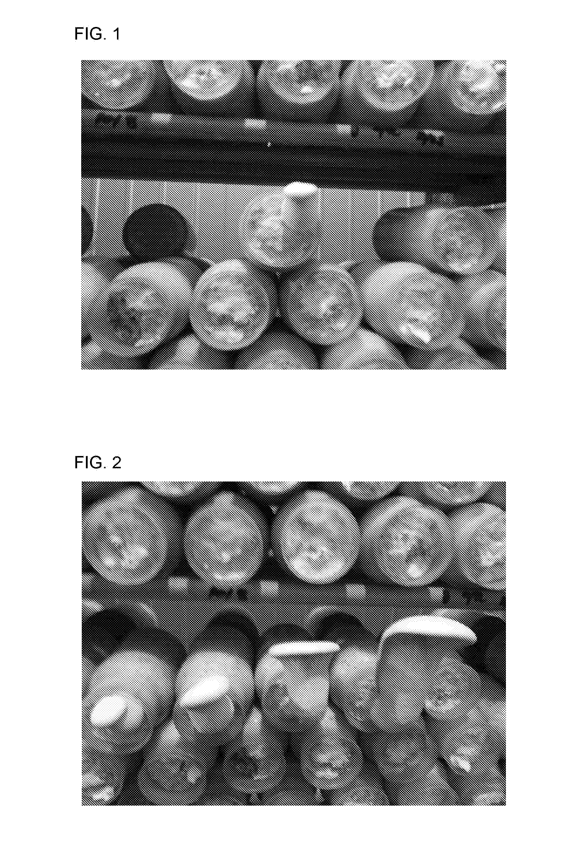 Novel strain of pleurotus nebrodensis