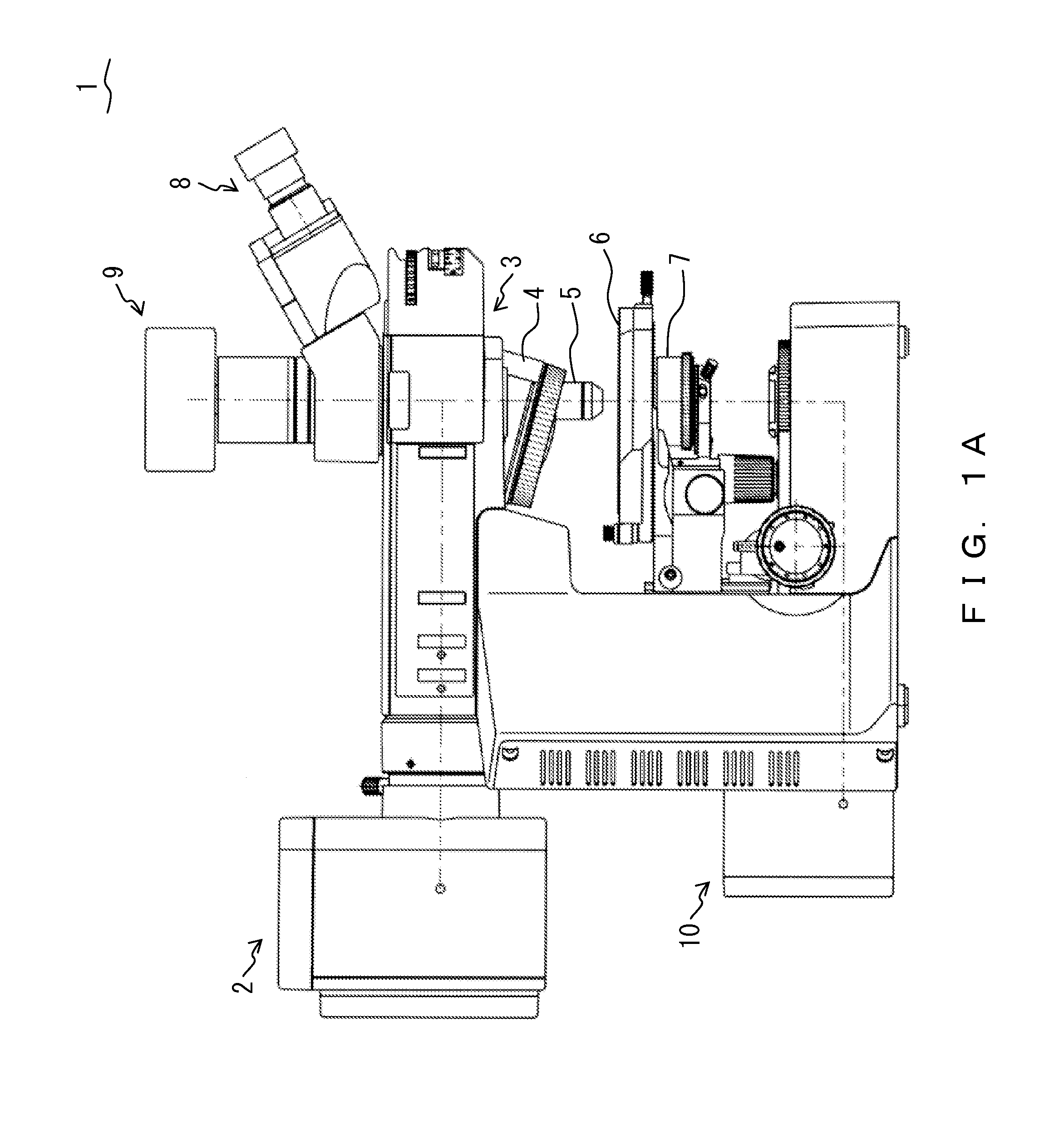 Microscope and microscope light source unit