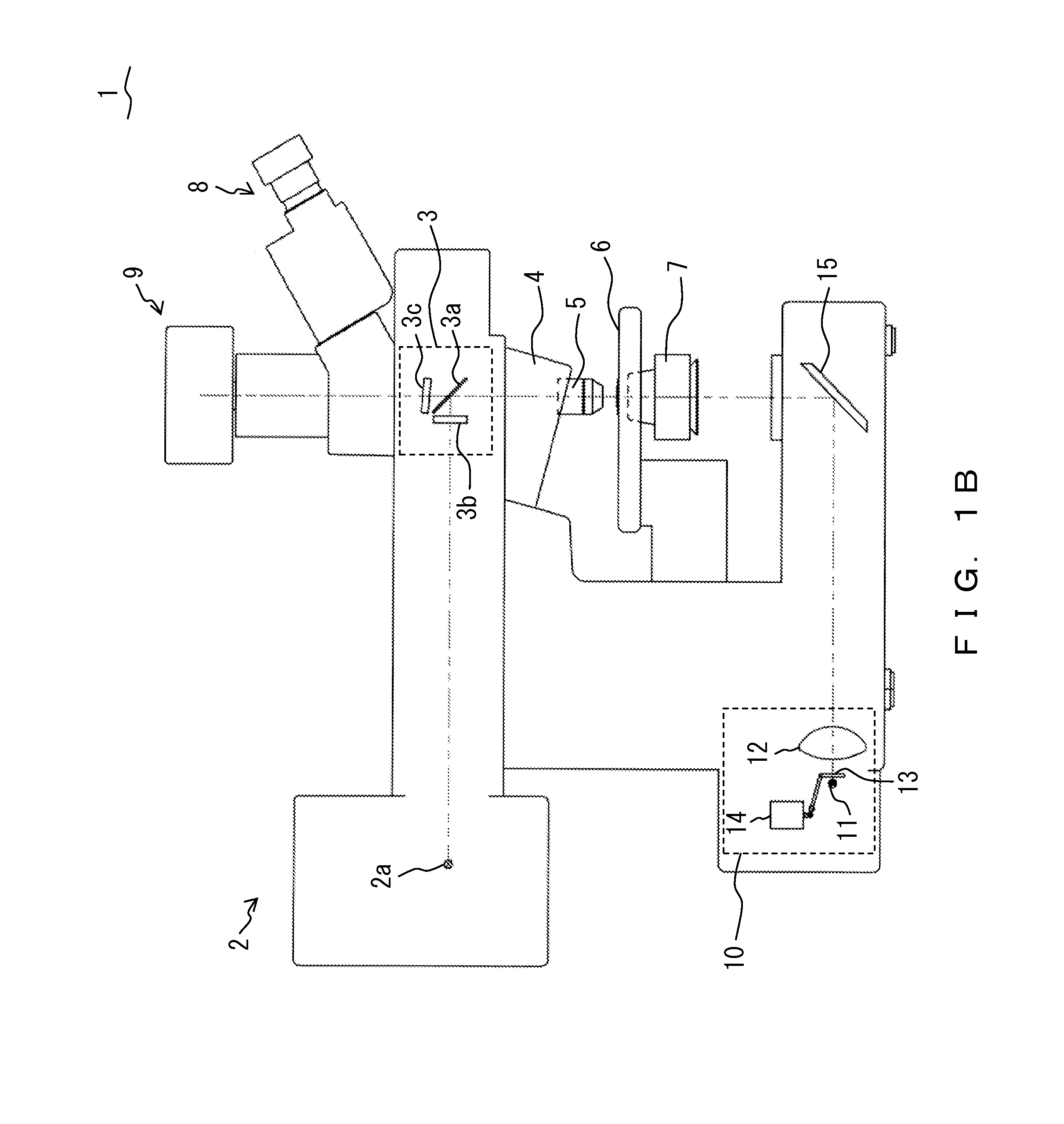 Microscope and microscope light source unit