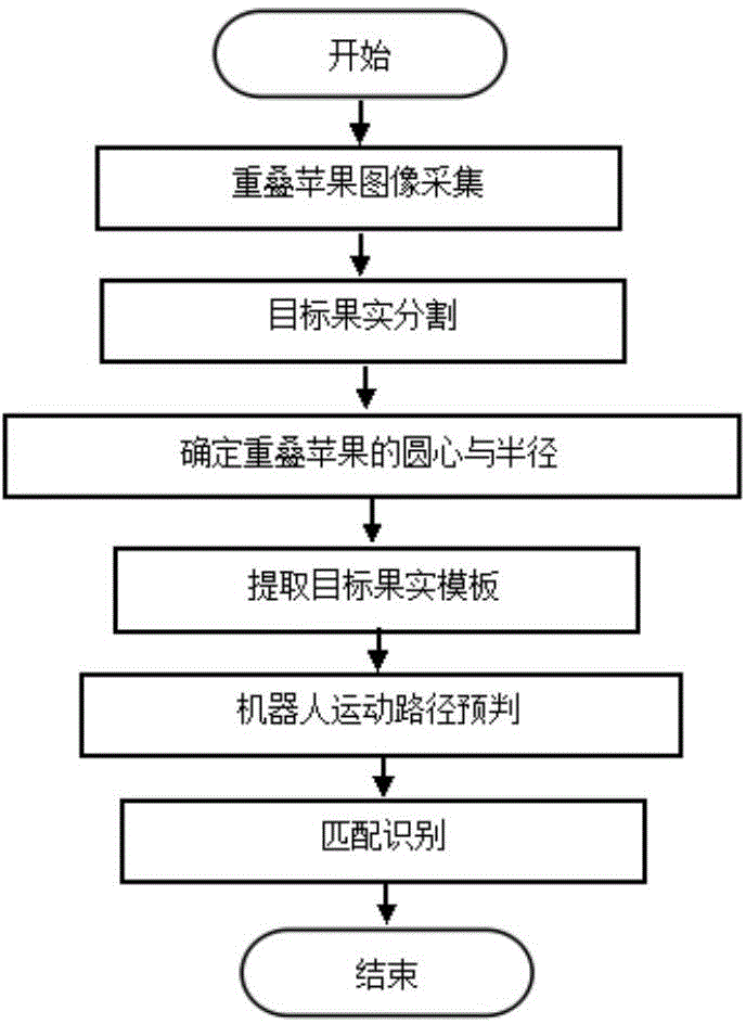 Fast tracking recognition method for overlapped fruits by picking robot