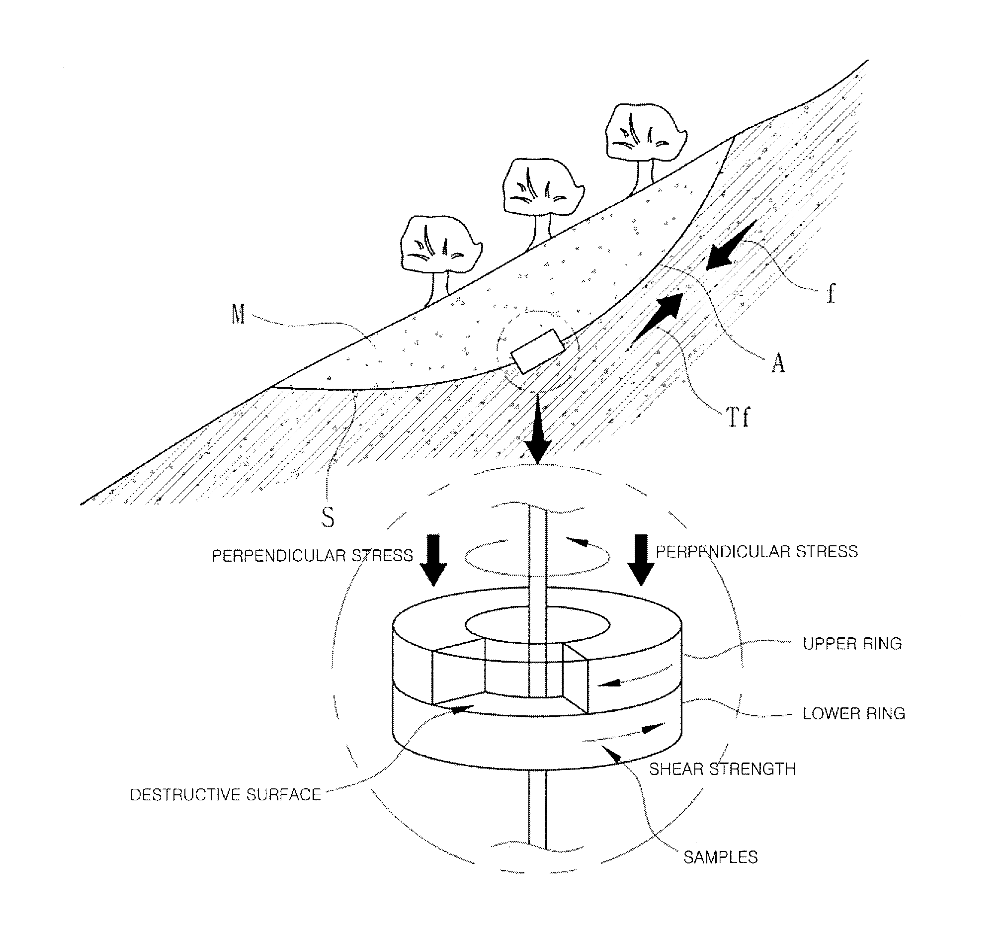 Ring shear apparatus considering wall-slip effect