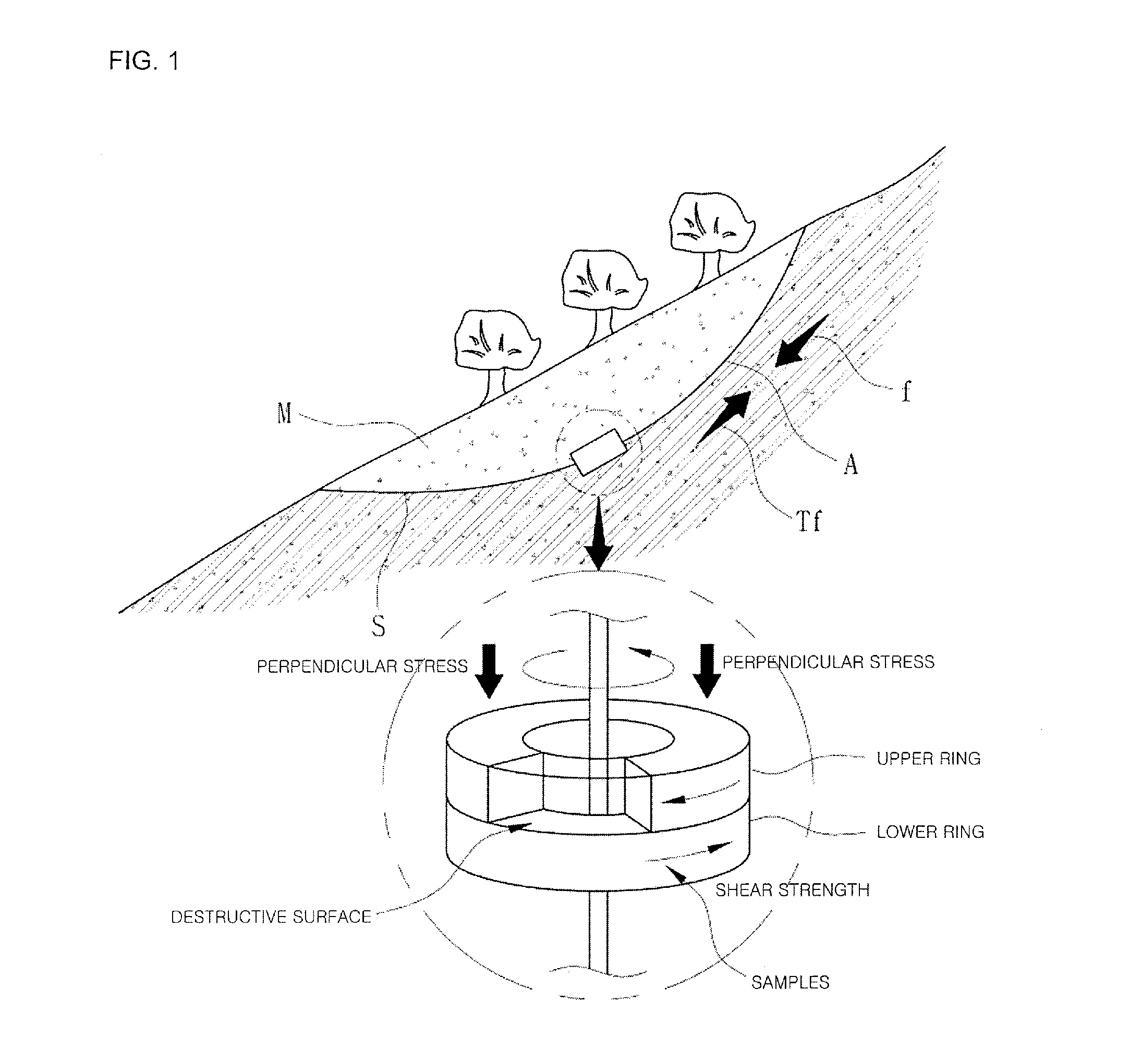 Ring shear apparatus considering wall-slip effect