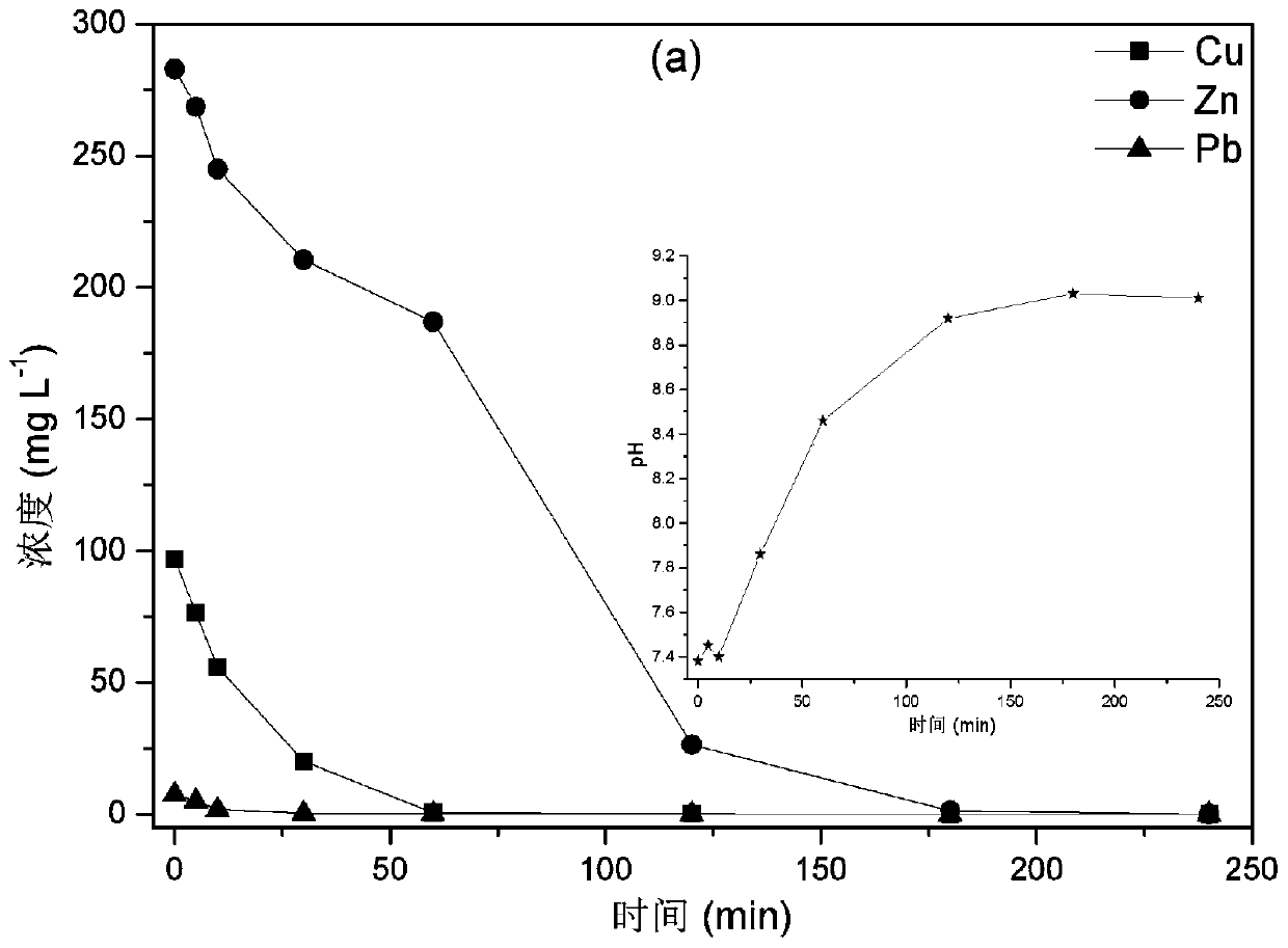 Device and method for removing heavy metal complexes from biogas slurry