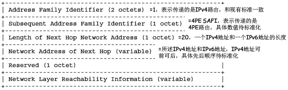 IPv4 routing information processing method, device, system, IPv4 data packet processing method, device and system