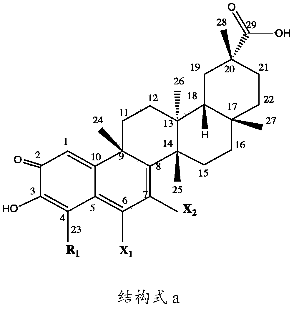 Preparation method for celastrol derivatives, products and application thereof