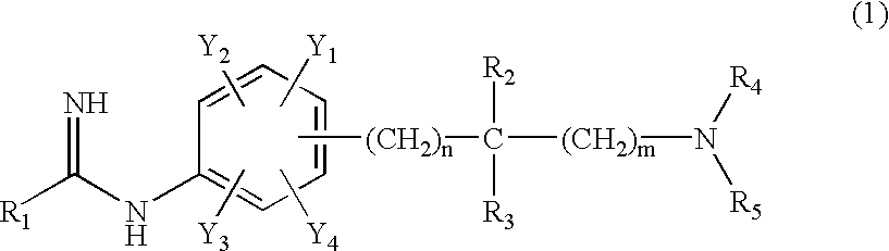 Aniline derivatives possessing an inhibitory effect of nitric oxide synthase