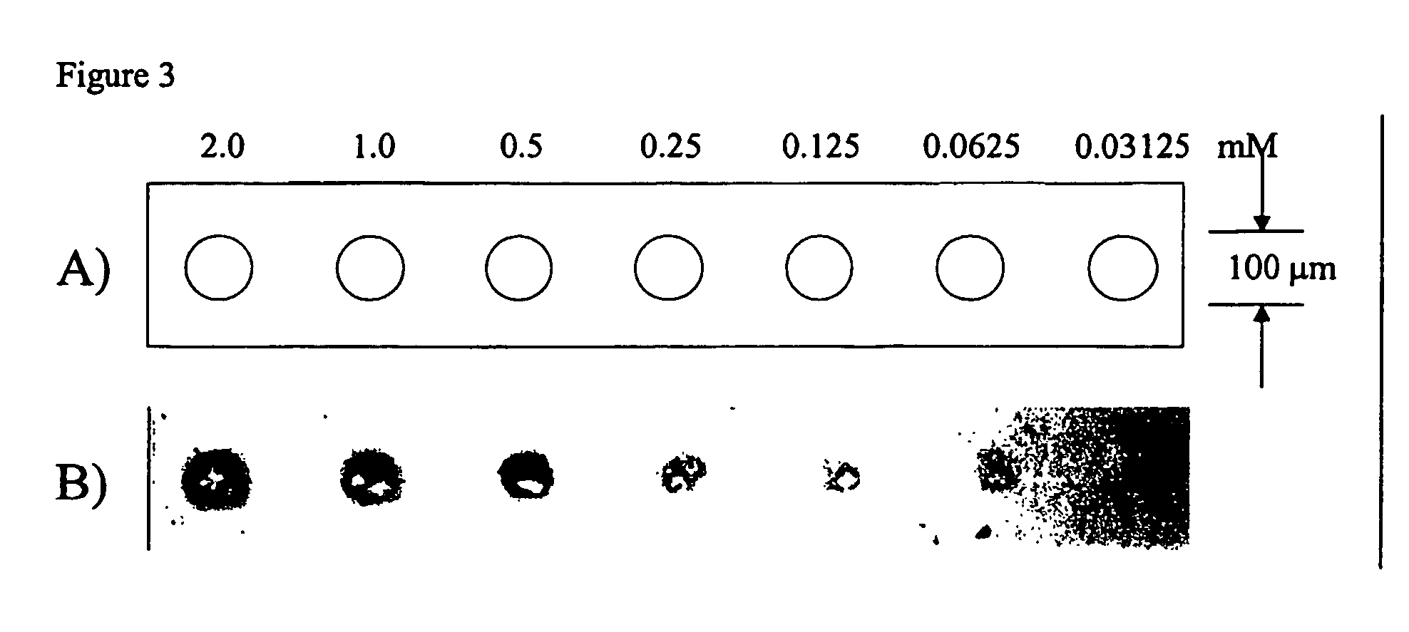 Graft polymer martrices