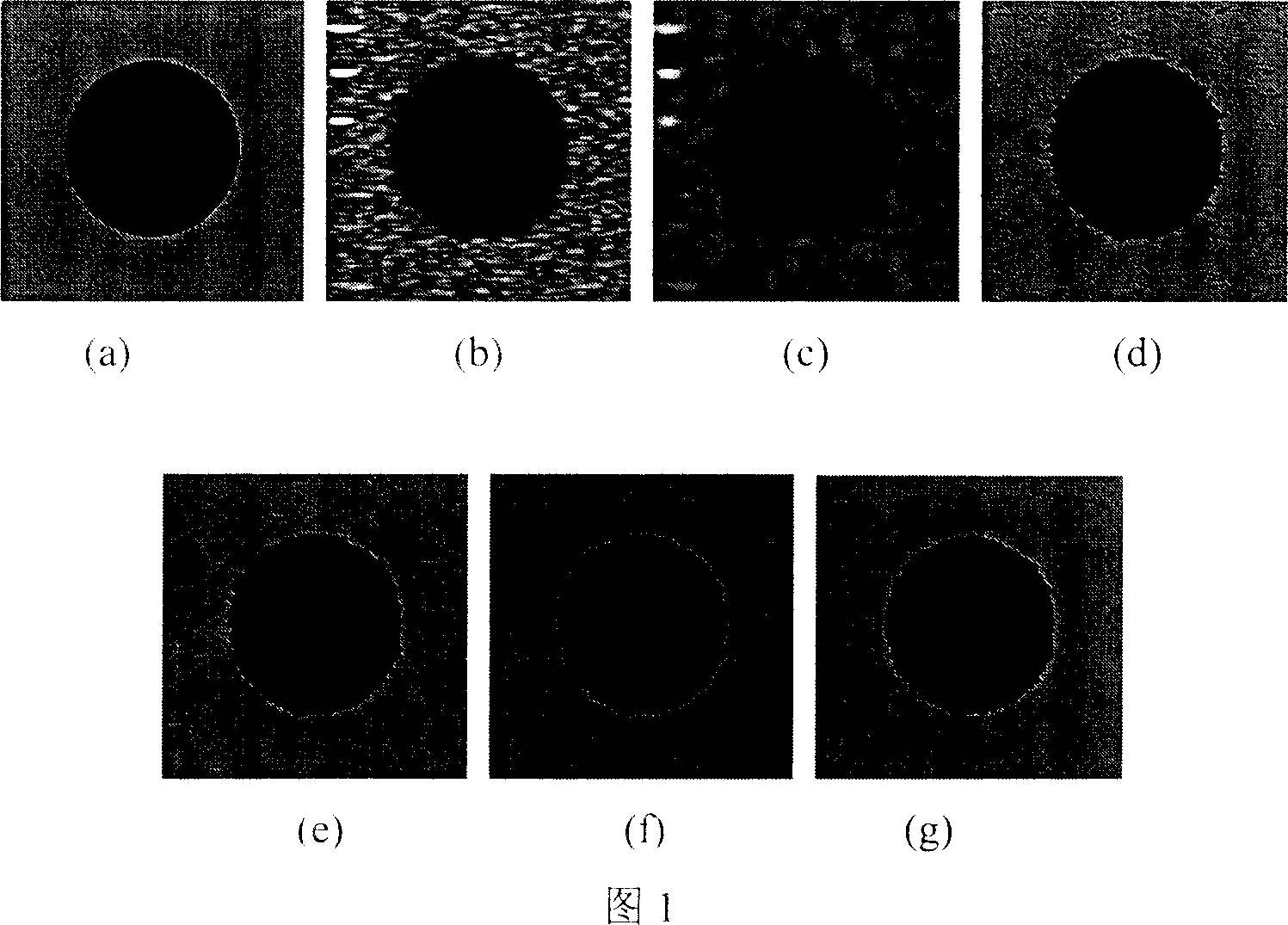 Two-dimensional blur polymer based ultrasonic image division method