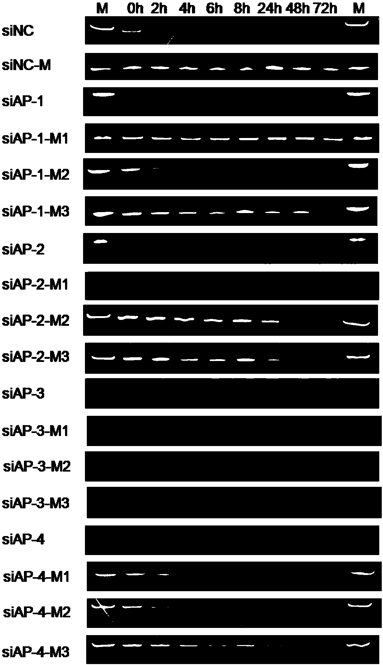 Small interfering nucleic acid and pharmaceutical composition and application thereof