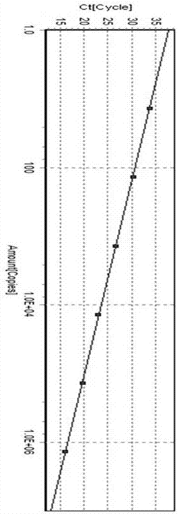 Real-time fluorescence quantification PCR detection primer for goose astroviridae and kit of detection primer