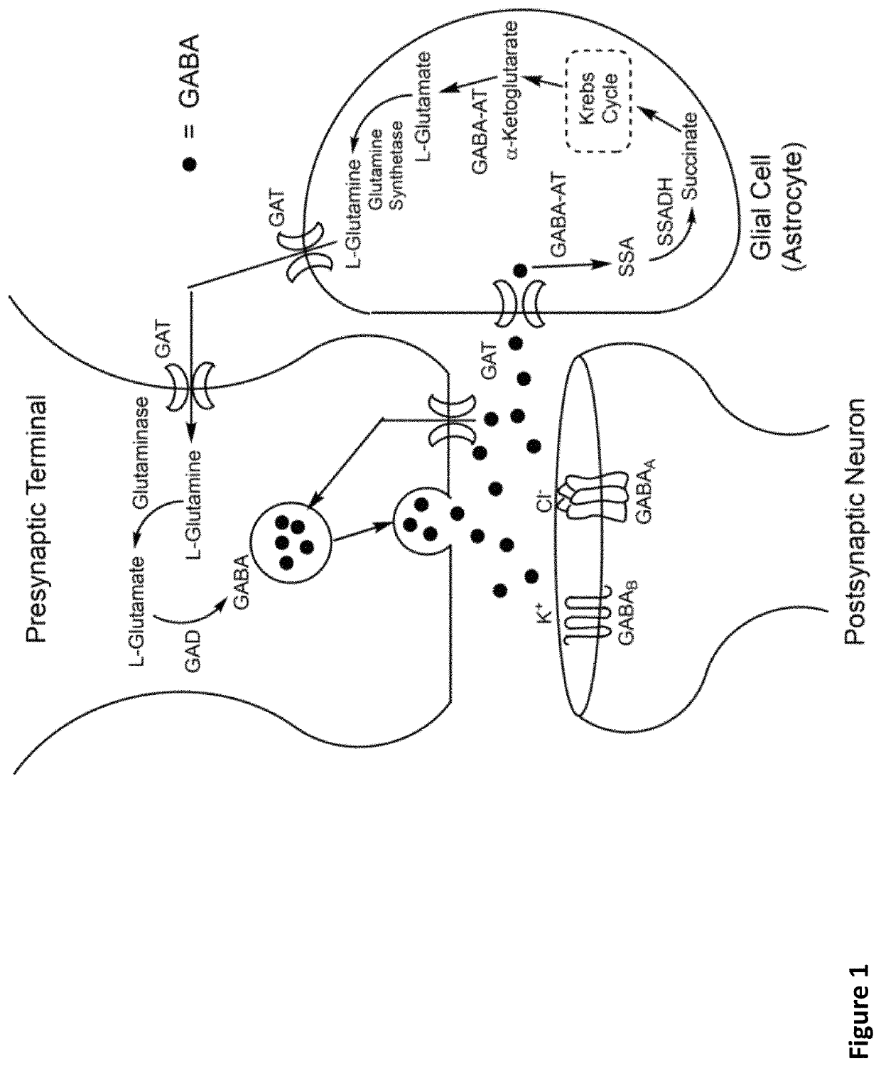 2-difluoro substituted 4-aminocyclopentanecarboxylic acids as inhibitors of gamma-aminobutyric acid aminotransferase and human ornithine aminotransferase