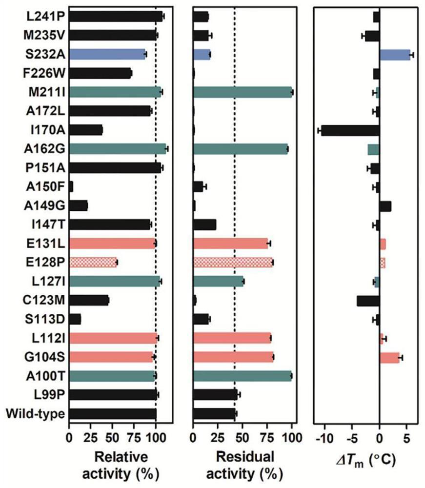 Carbonyl reductase mutant with improved thermal stability