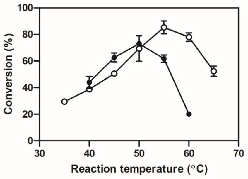 Carbonyl reductase mutant with improved thermal stability