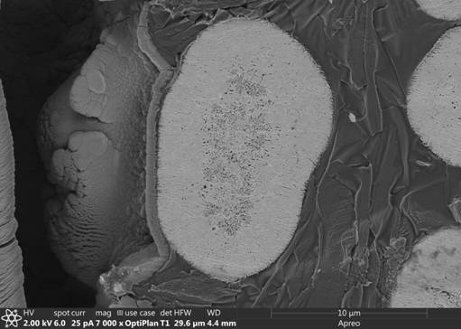 Nickel-cobalt-boron precursor material, preparation method and nickel-cobalt-boron positive electrode material