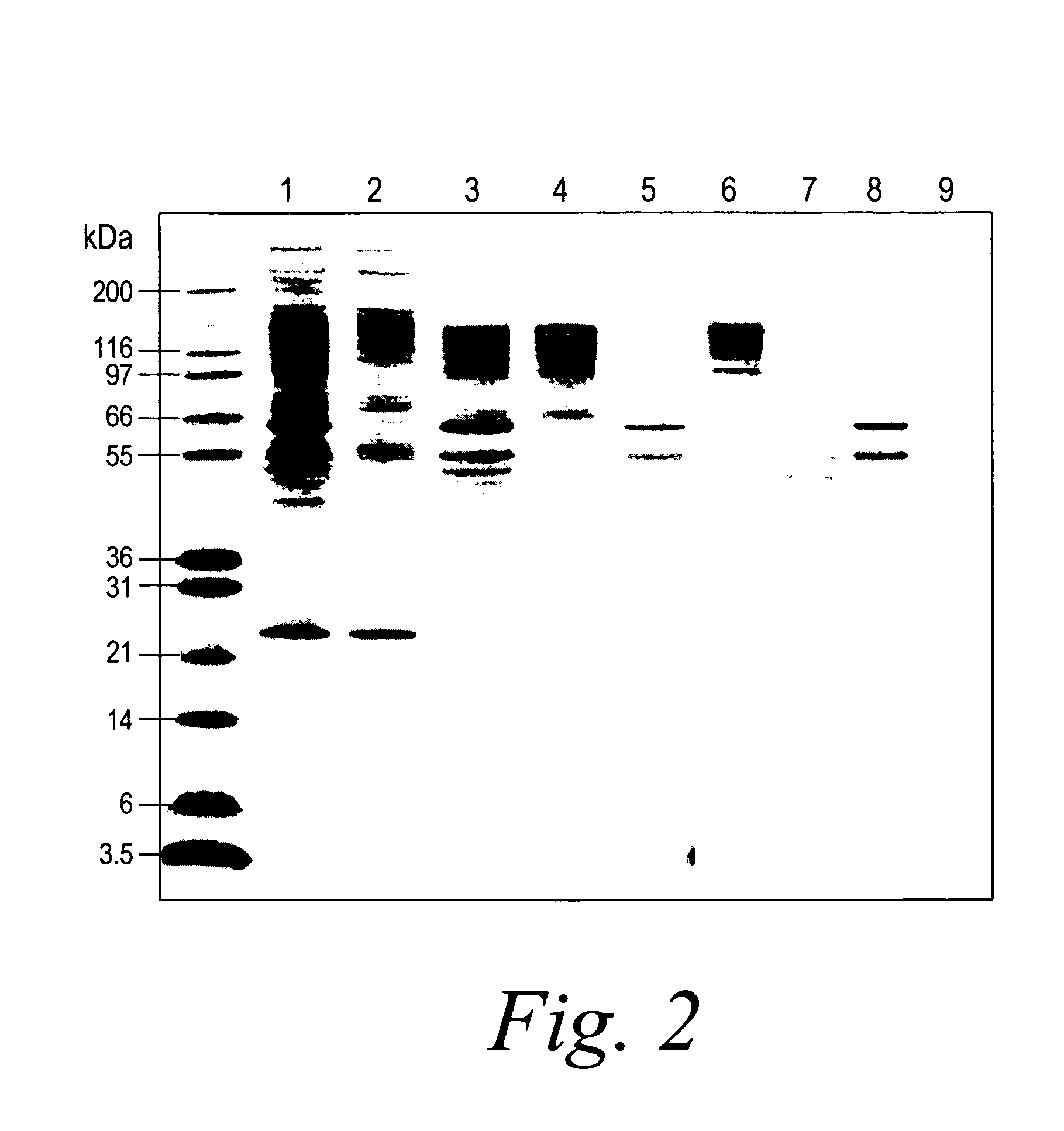 Removal of proteins from a sample