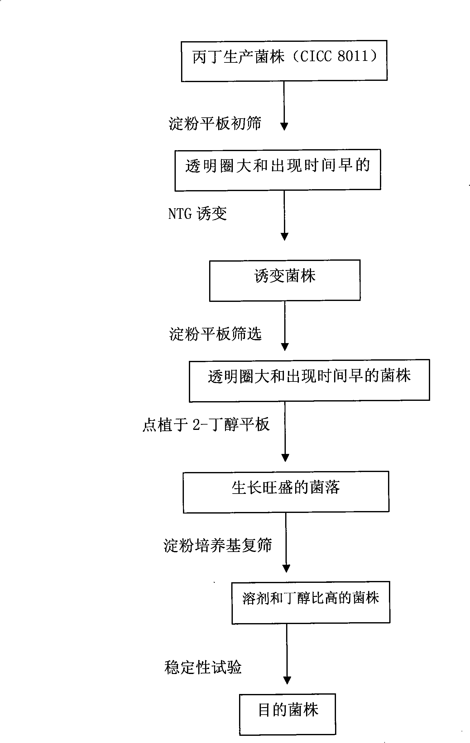 A strain of Clostridium acetobutylicum, screening method and use thereof