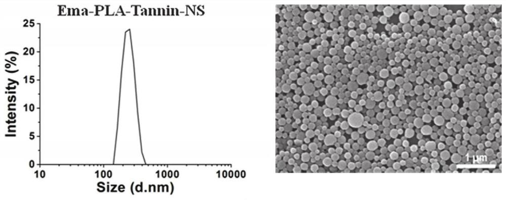 Preparation method of a foliage-affinity pesticide nano-loading system