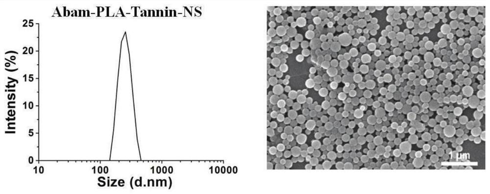 Preparation method of a foliage-affinity pesticide nano-loading system