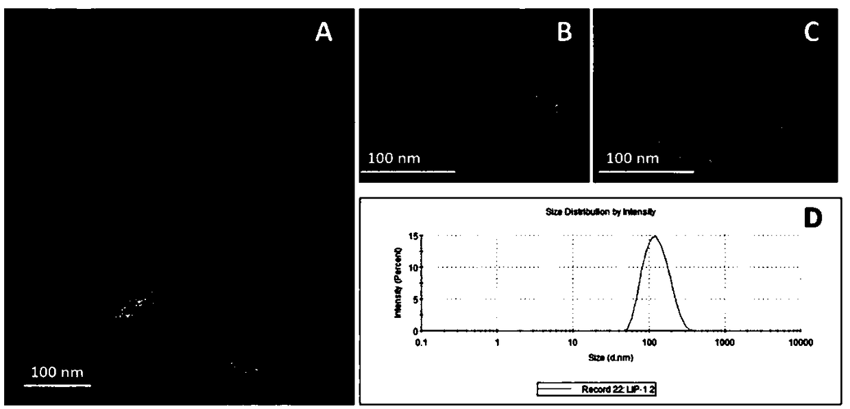 Targeted lipidosome with pH and temperature dual responsiveness and preparation method of targeted lipidosome