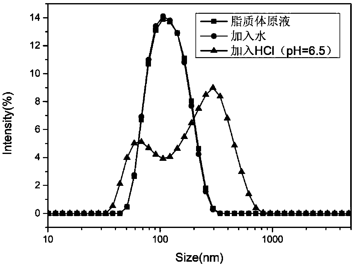 Targeted lipidosome with pH and temperature dual responsiveness and preparation method of targeted lipidosome