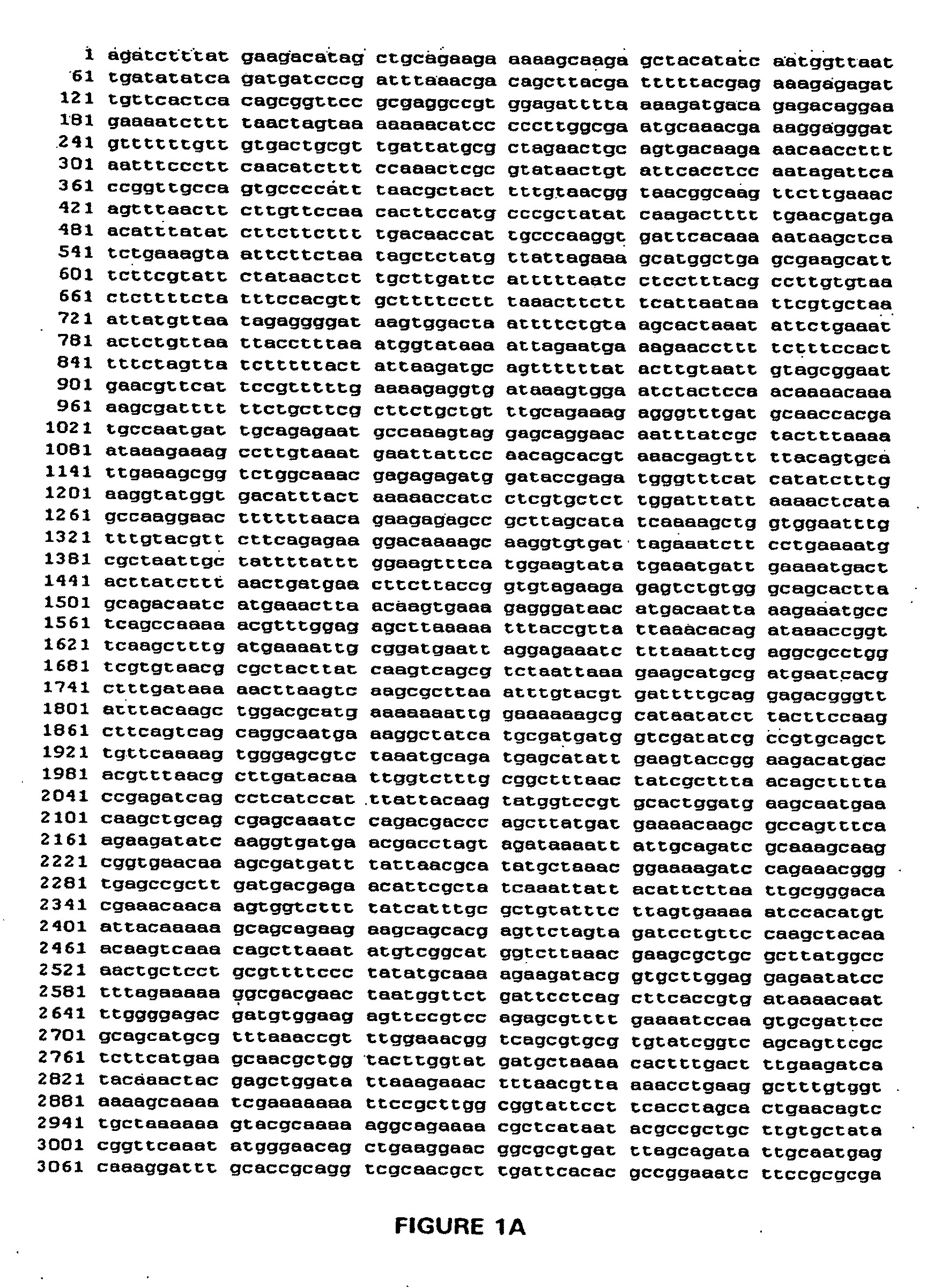 Thermostable peroxide-driven cytochrome P450 oxygenase variants and methods of use