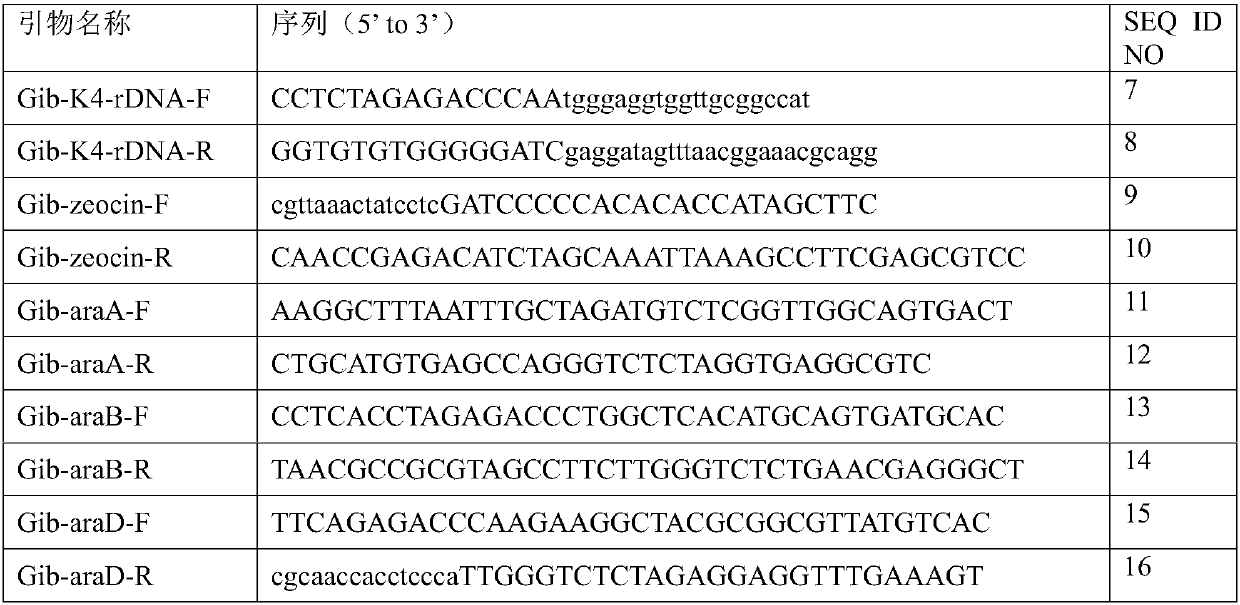 Reorganized saccharomyces cerevisia bacterial strain and preparation method and application thereof