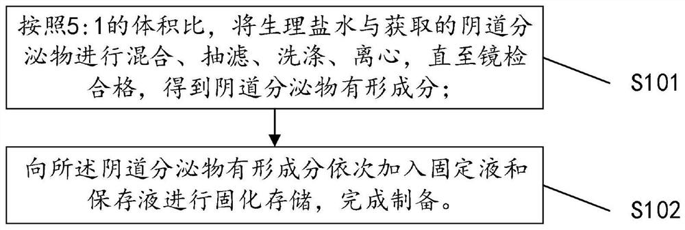 Quality control composition for analyzing visible components of vaginal secretion and preparation method of quality control composition