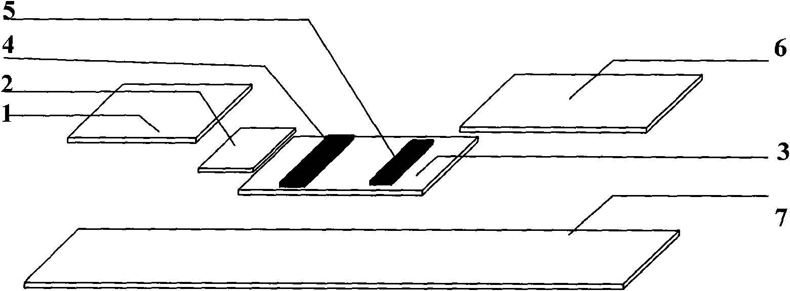 Hepatopathy detecting test paper by colloidal gold chromatography and preparation method thereof