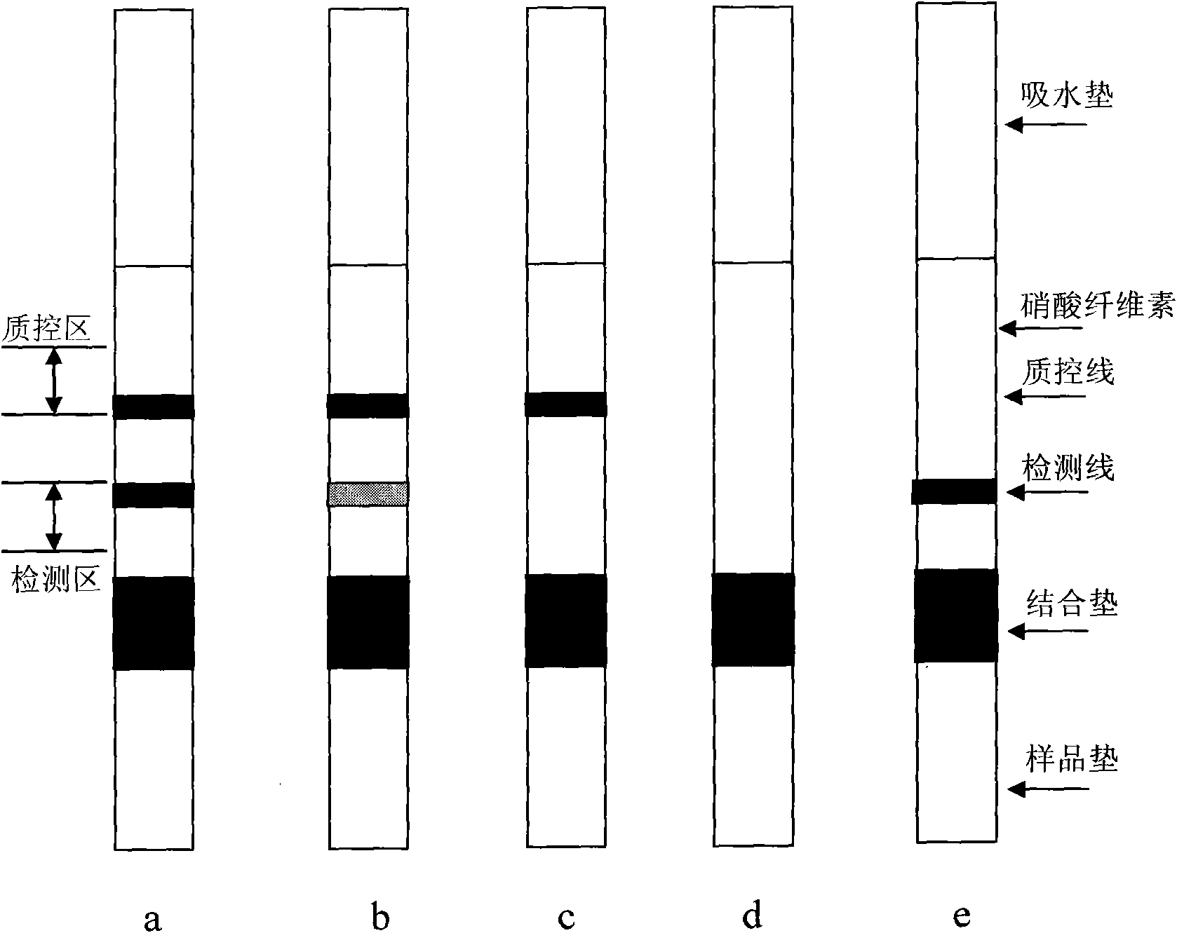 Hepatopathy detecting test paper by colloidal gold chromatography and preparation method thereof