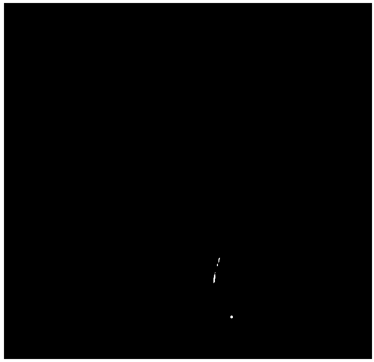 Phase reconstruction method based on wavelet domain regularization