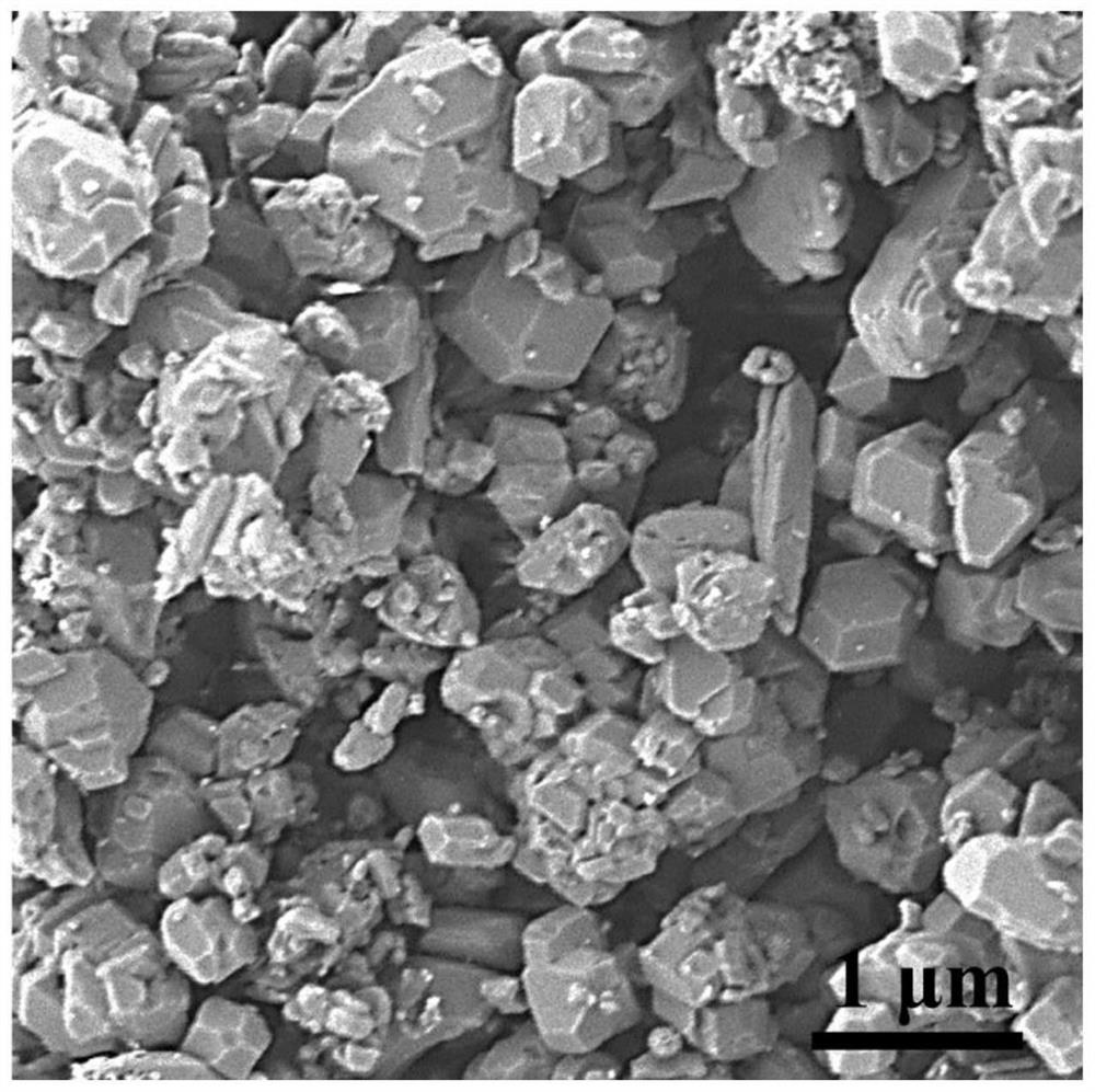 Preparation method of bamboo-like nitrogen-doped carbon nanotubes loaded with metal monoatoms and nanoparticles