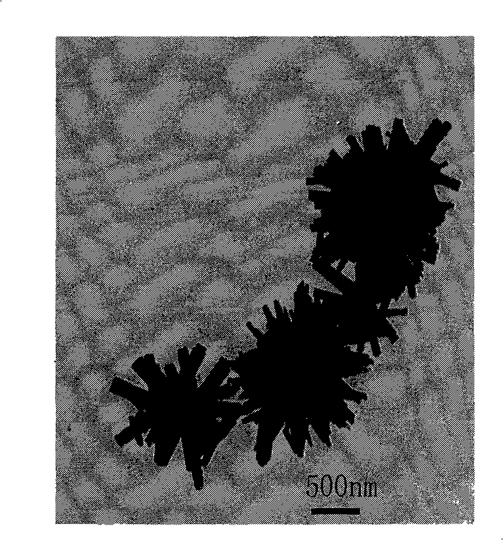 Method for synthesizing flower-like nanostructure composed of zinc oxide nano-rod