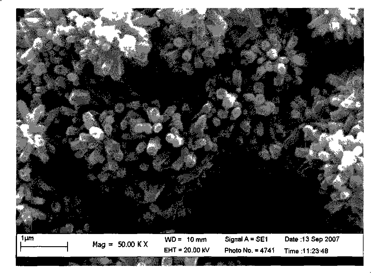 Method for synthesizing flower-like nanostructure composed of zinc oxide nano-rod