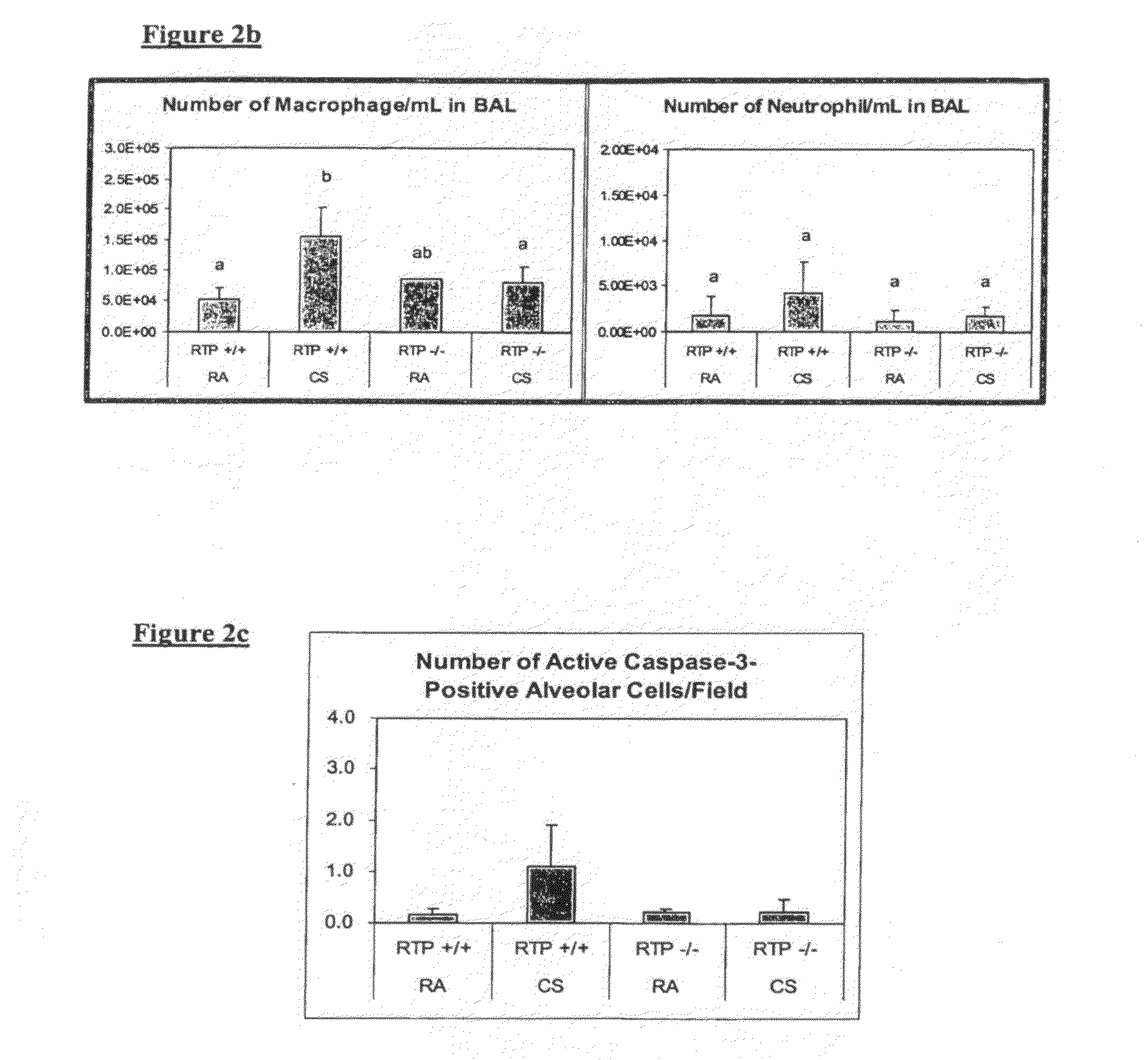 Therapeutic delivery of inhibitory nucleic acid molecules to the respiratory system