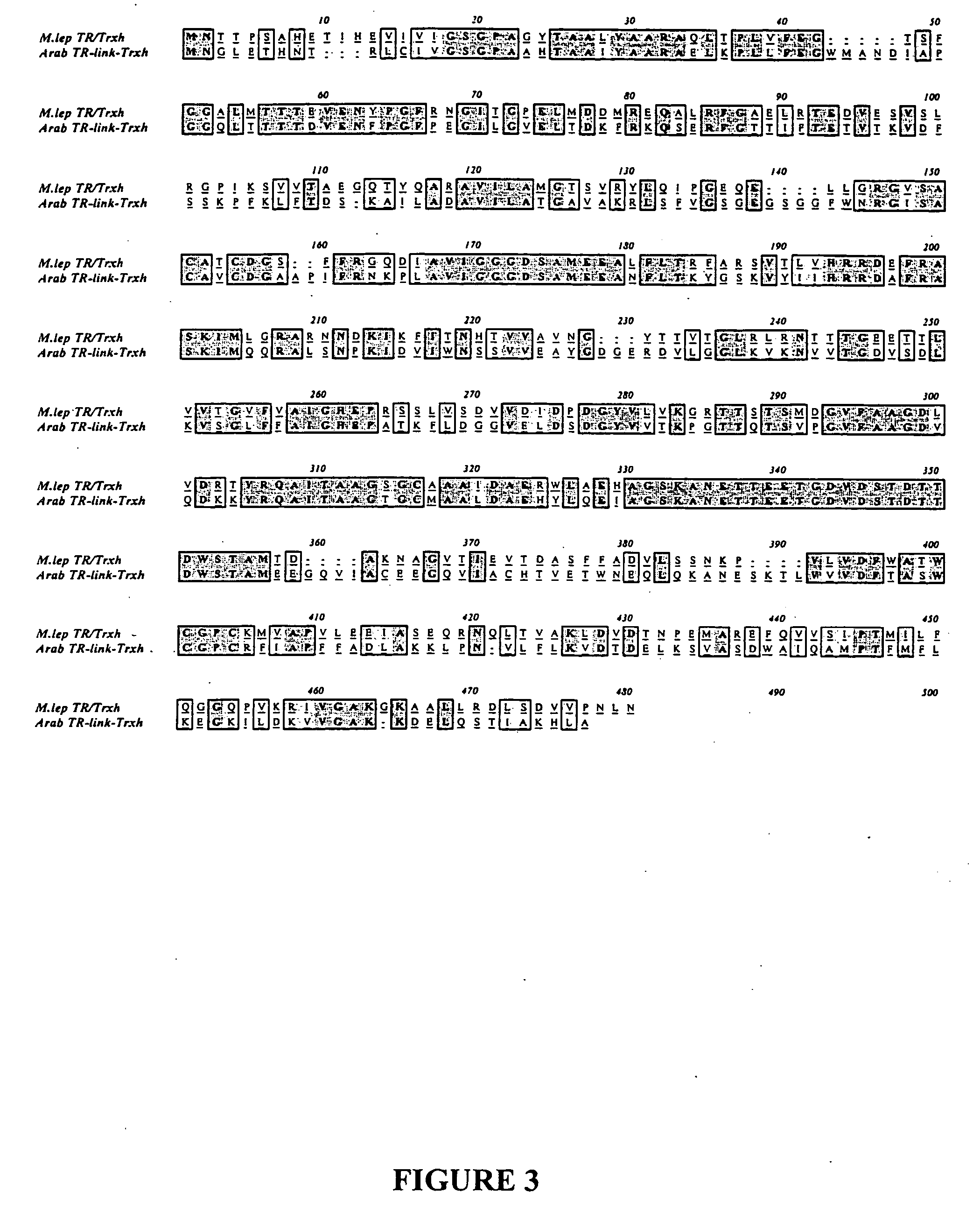 Methods for the production of multimeric protein complexes, and related compositions