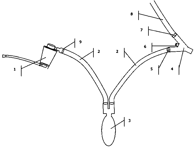 Balloon type primary oxygen supply device