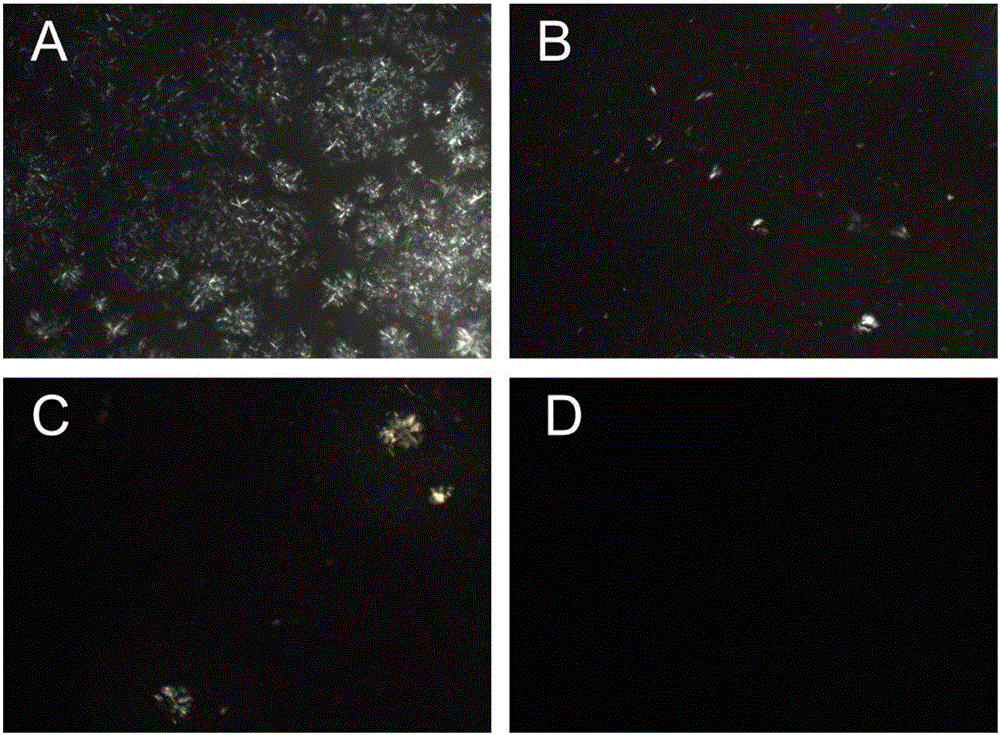 Cubic liquid crystal in-situ gel injection of local anesthetic, and preparation method of injection