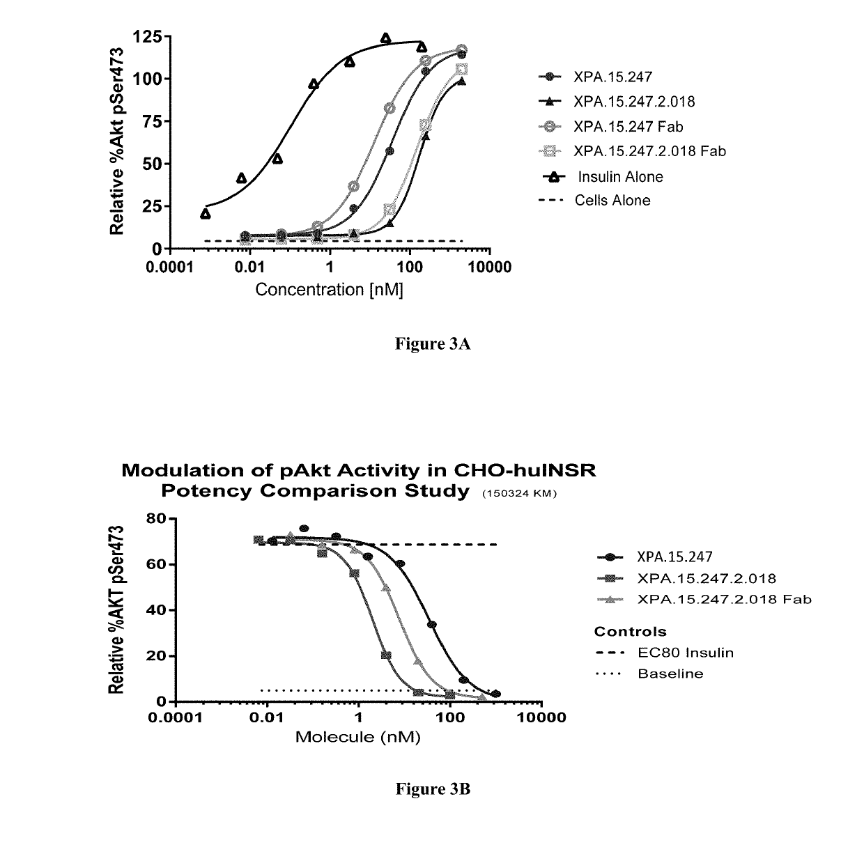 Antibody fragments against the insulin receptor and uses thereof to treat hypoglycemia