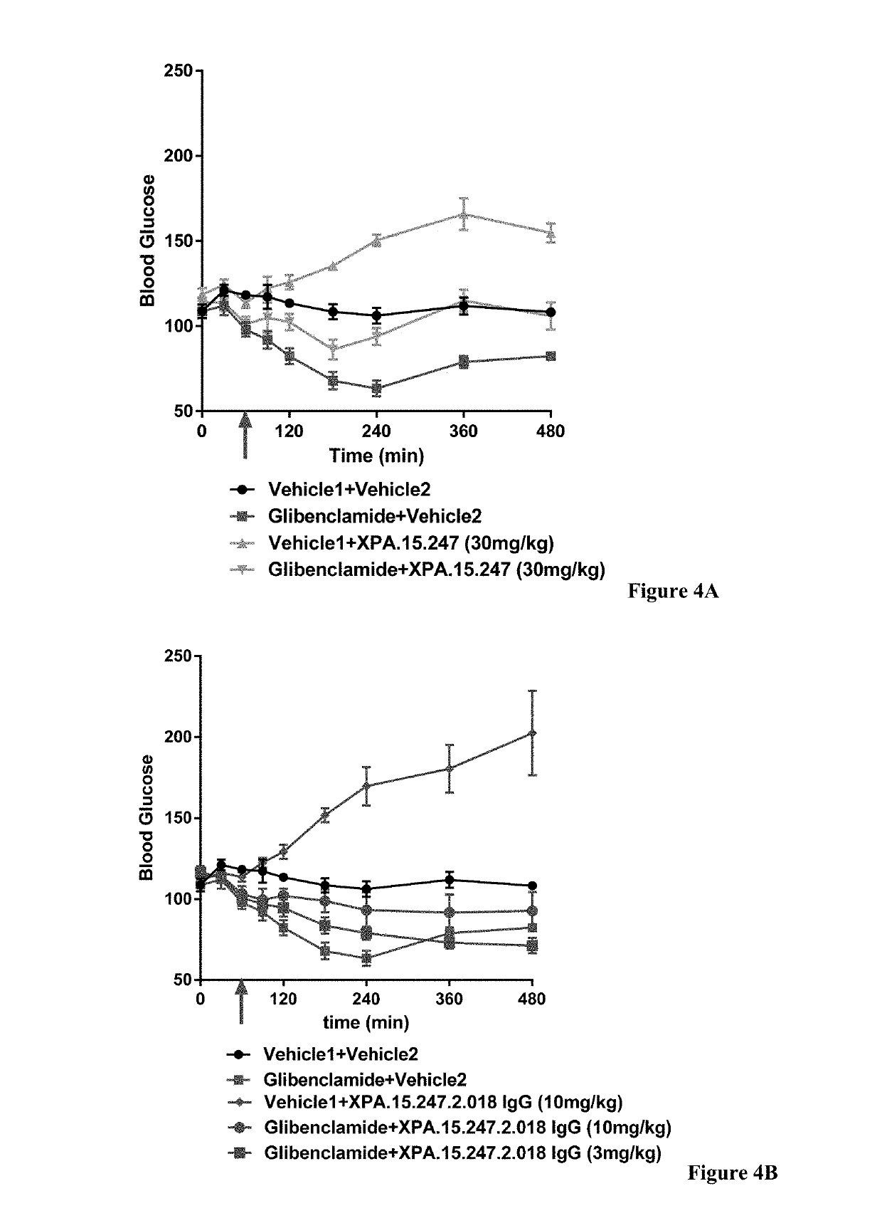 Antibody fragments against the insulin receptor and uses thereof to treat hypoglycemia